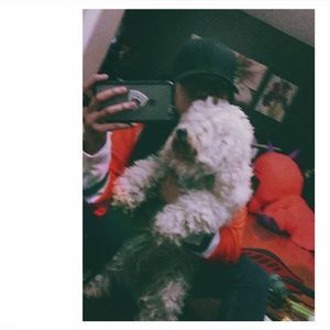 Meet your Posher, Antoinette